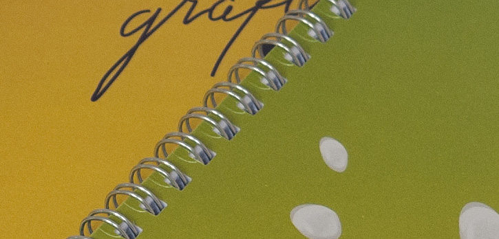 rilegatura a spirale